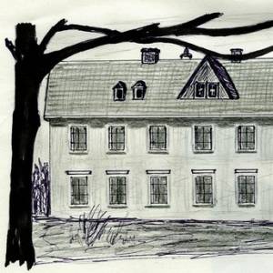 Albeřice